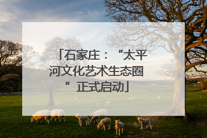 石家庄：“太平河文化艺术生态圈”正式启动